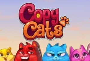 copy cats netent spielautomaten