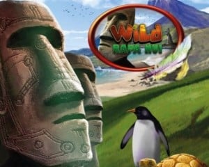 Bally Wulff - Wild Rapa Nui