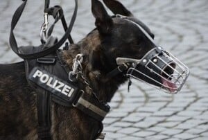 Spielhallen als Opfer