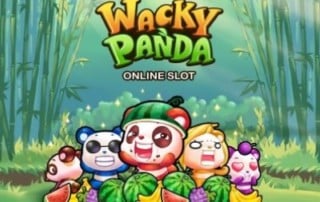 Wacky Panda Microgaming