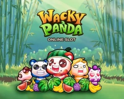 Wacky Panda Microgaming