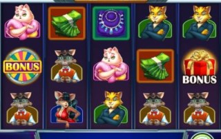 Cats and Cash Spielautomaten