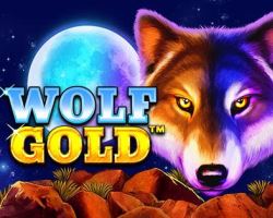 Pragmatic Play Spielautomat Wolf Gold