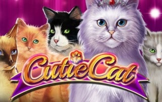 Cutie Cat Spielautomaten