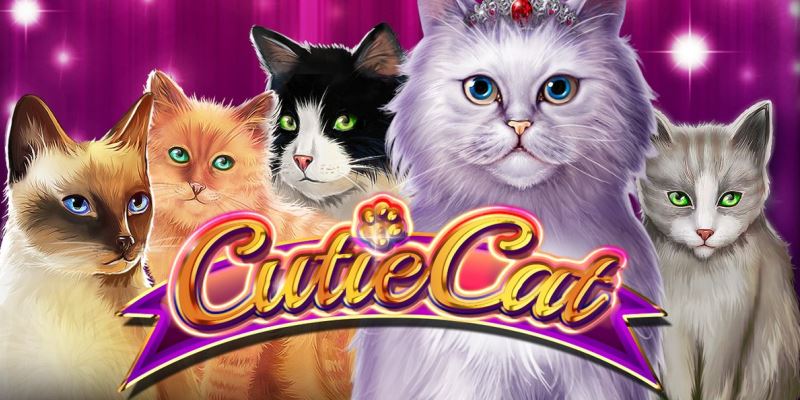 Cutie Cat Spielautomaten