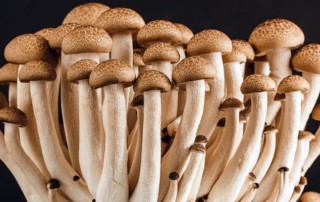 Online Casino Aktien gingen durch die Decke