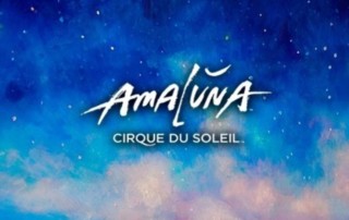 Cirque du Soleil Amaluna Spielautomaten