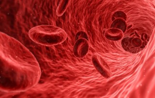 Alles auf Rot in der KW 32-2019