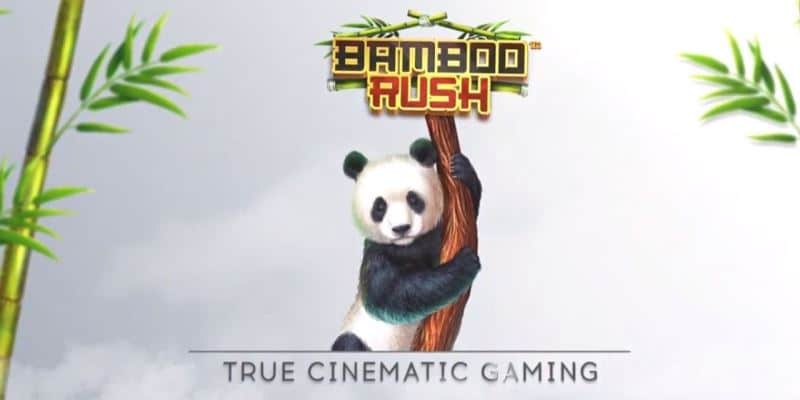 Bamboo Rush Spielautomaten 