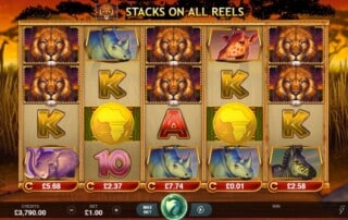 African Quest Spielautomaten