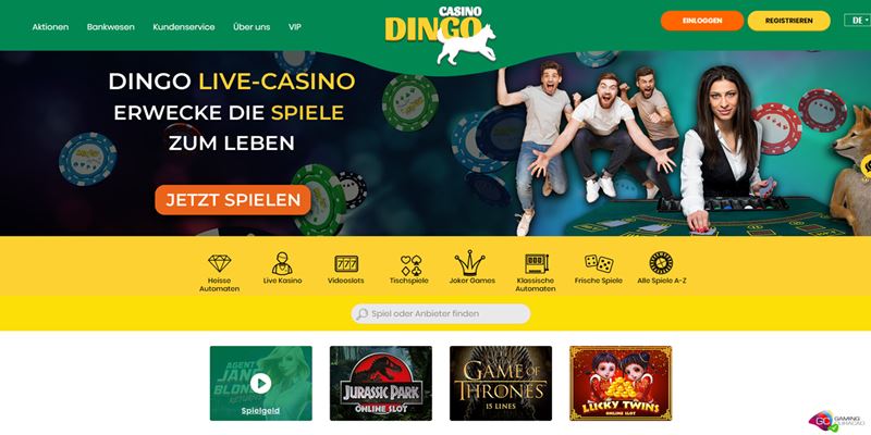 Dingo Casino Test