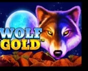 Wolf Gold Spielautomat Pragmatic Play kostenlos spielen