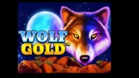 Wolf Gold