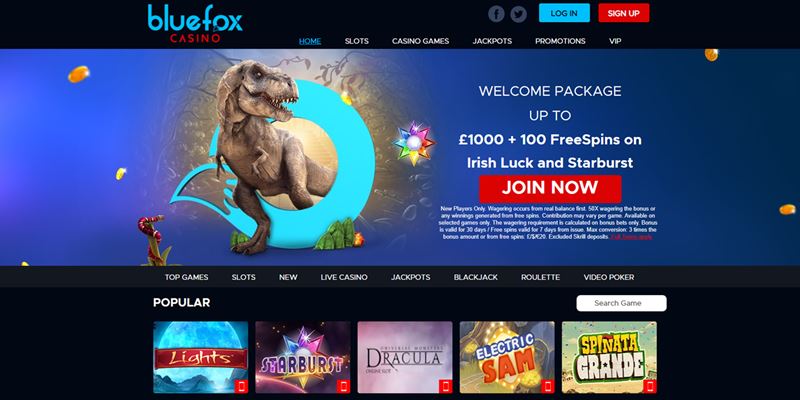 BlueFox Casino Test