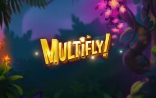 Multifly Spielautomat Yggdrasil