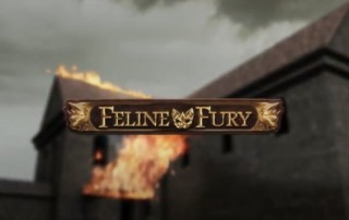 Feline Fury Spielautomat Play `n GO