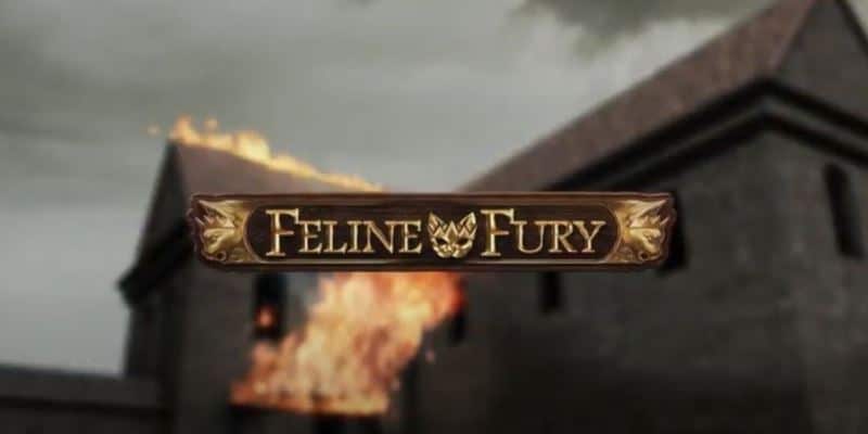 Feline Fury Spielautomat Play `n GO