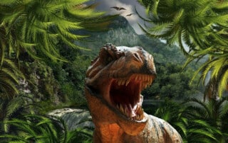 LuckyDino Lizenz Suspendierung aufgehoben