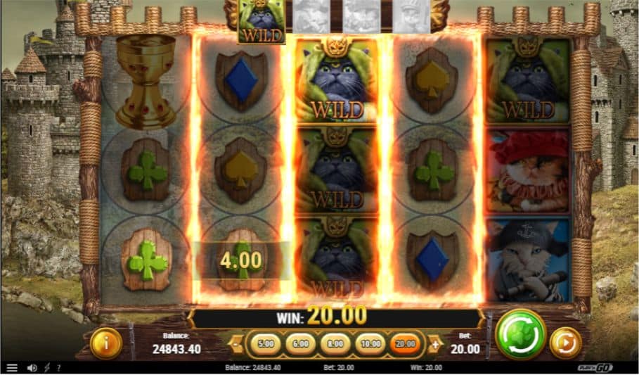 Feline Fury Slot Gewinn