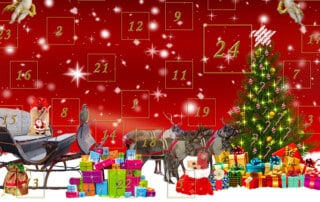 Lapalingo Adventskalender 2020