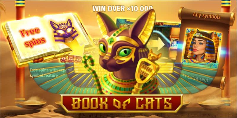 Book of Cats Slot