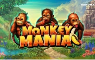 Monkey Mania Slot
