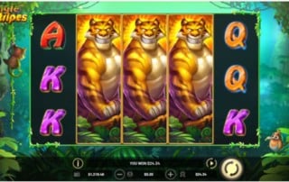 Betsoft Spielautomaten