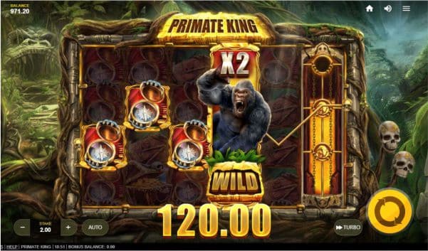 Primate King Slot Gewinn