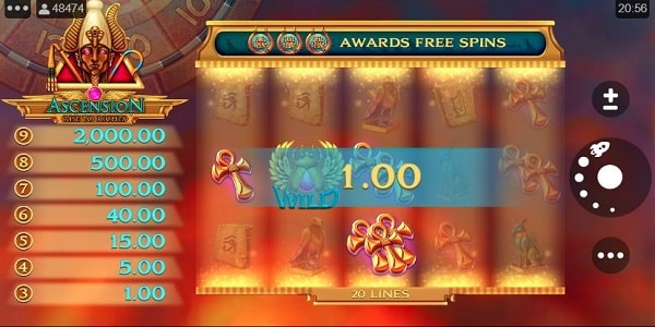 Reel Win