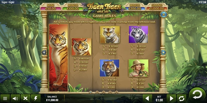 Tiger Tiger Wild Life Symbols