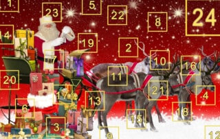 Casumo Casino Adventskalender 2021