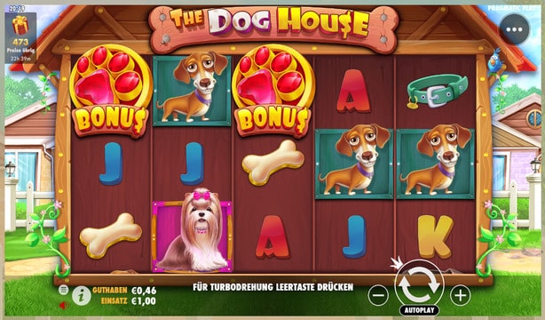 The Dog House Slot Gewinn