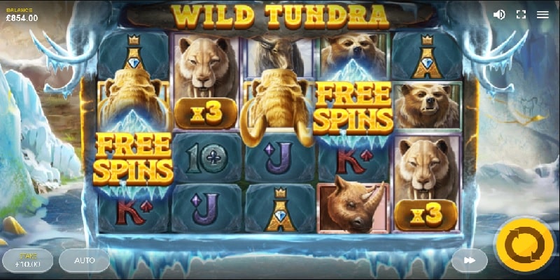 Wild Tundra (Red Tiger)