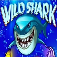 Wild Shark (Amatic)