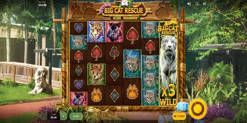 Big Cat Rescue Megaways™ (Red Tiger) 