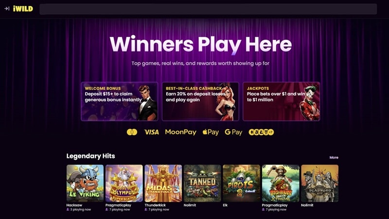 Screenshot of iWild Casino homepage