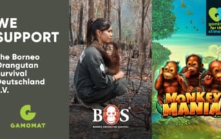 Gamomat hilft mit Monkey Mania Orang-Utans in Borneo