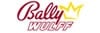 Bally Wulff Software Provider
