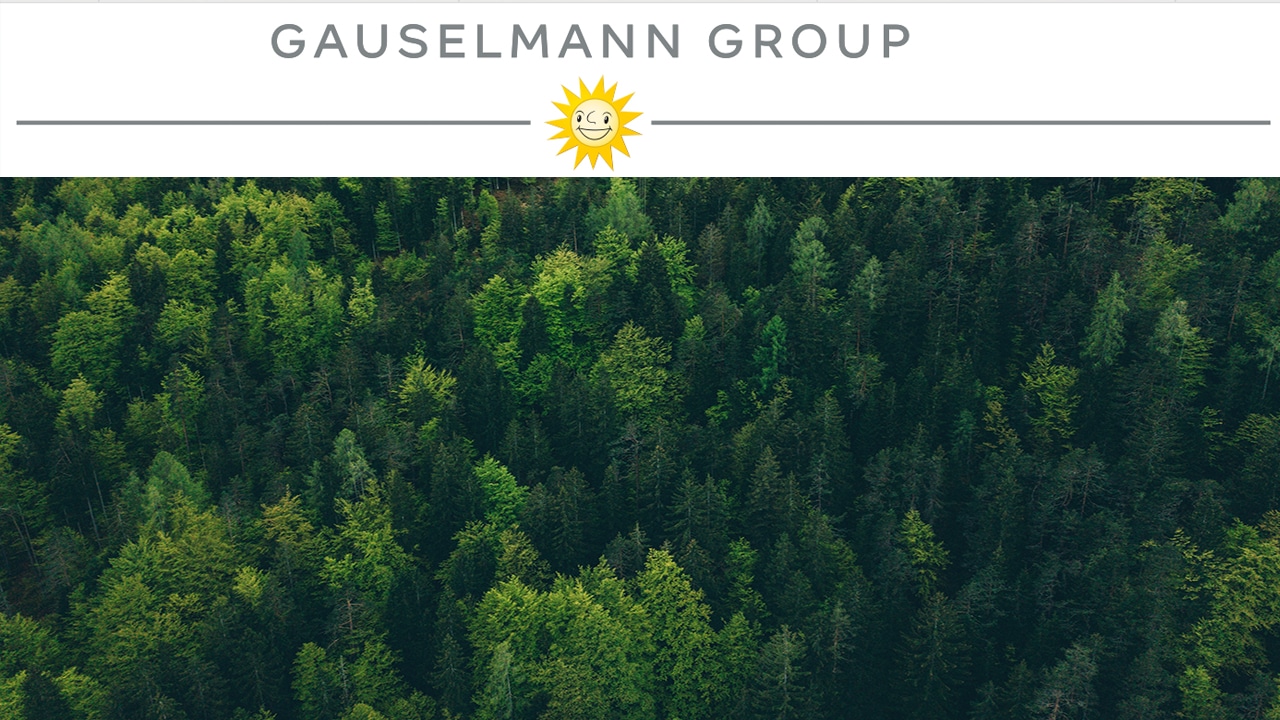 Gauselmann lässt hunderte Bäume neu wachsen!