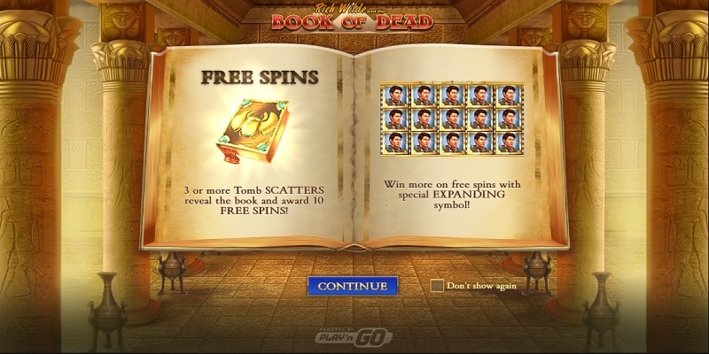 Book of Dead Casino Bonus