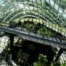 Entain Strong Progress in Sustainability
