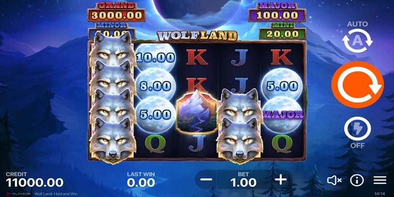 Wolf Land Hold and Win (Playson)