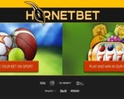 HornetBet Casino Test