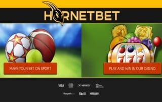 HornetBet Casino Test