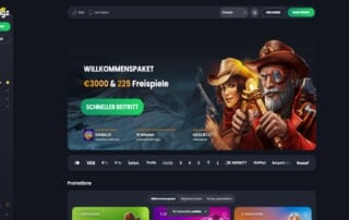 Bitkingz Casino Test