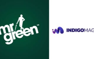 Indigo Magic und Mr Green