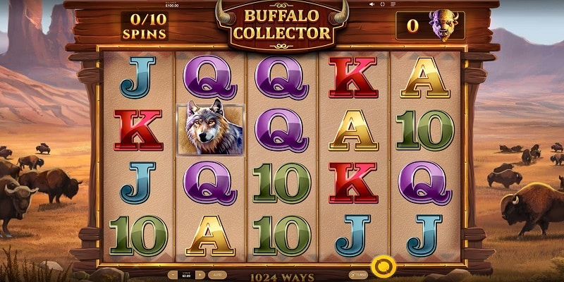 Buffalo Collector (Red Tiger Gaming)