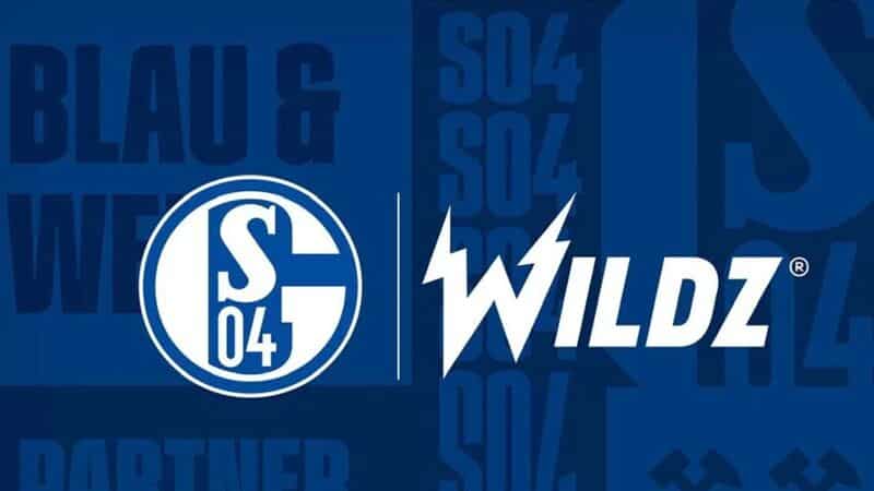 Wildz und FC Schalke 04