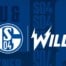 Wildz und FC Schalke 04