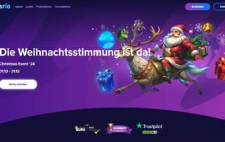 stelario Adventskalender 2024